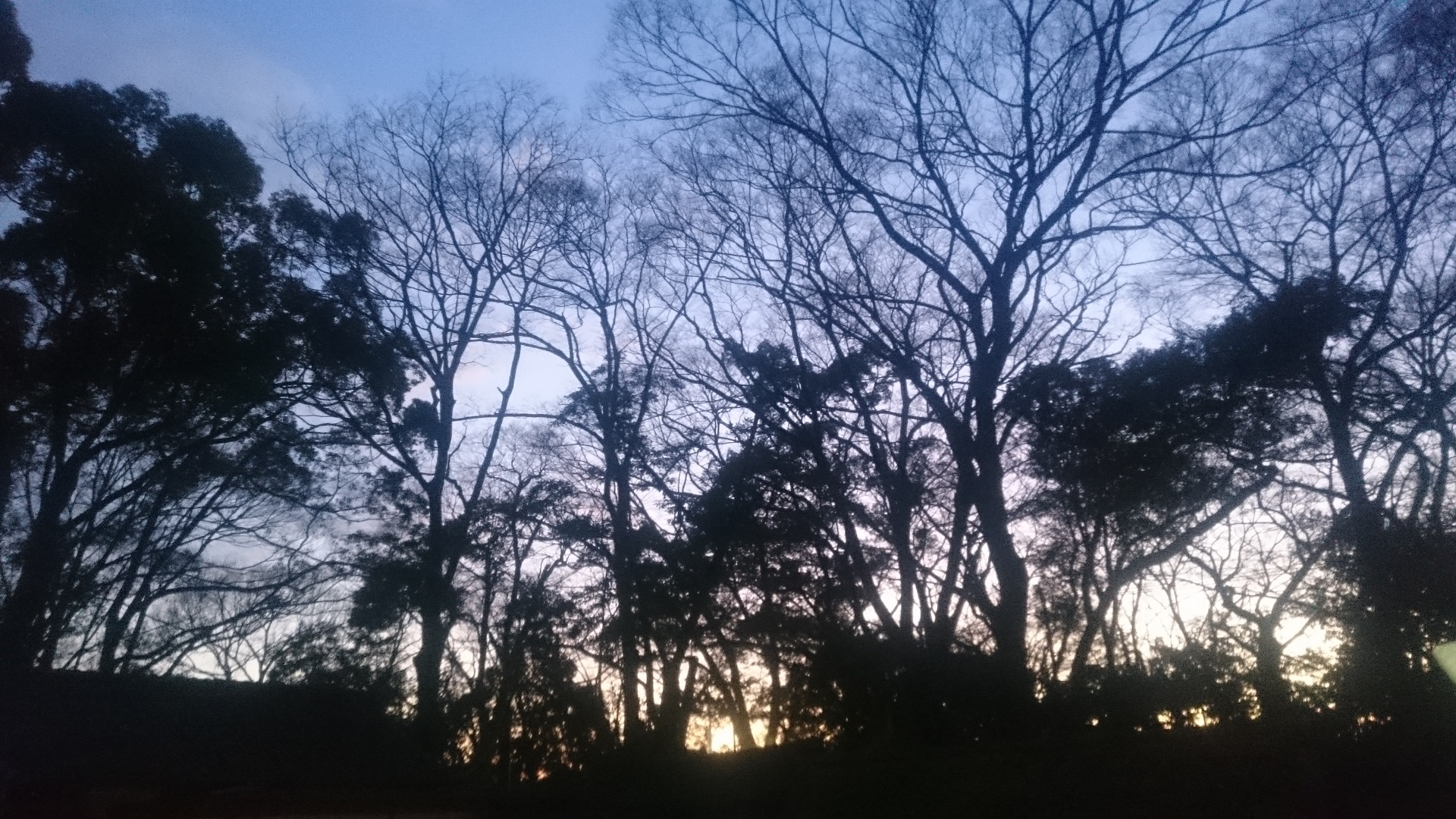 0118私が注目している方：榊淳司さん３