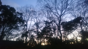 0204今後の経済展望／新卒女子ブログ／Airbnb著者の出版記念パーティー (1)