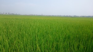 0327今日の随筆3