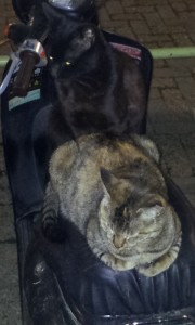 0405不動産で大損した人の話！！