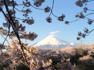 0405流星のごとき観光業の隆盛 ～最高な時代到来～2