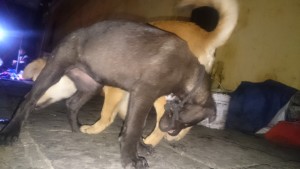 0419満室経営 (1)