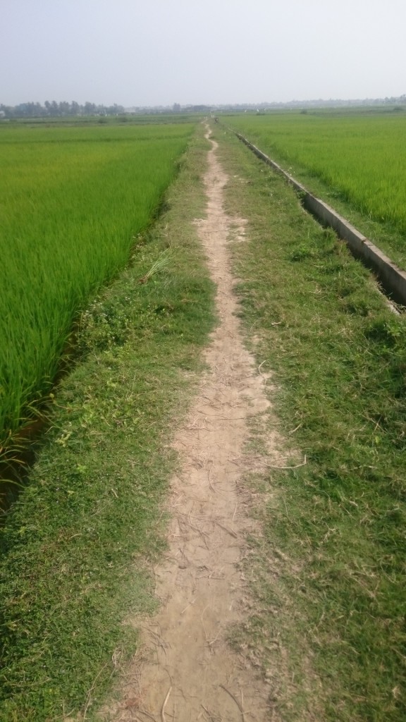 0505一億総上流社会2