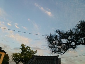 ####SC_CAMIQ################################## ####INFORMATION##################################                ID: 353471052820020               ROM: S8210 ####SETTINGS############################             SCENE: OFF                WB: AUTO               ZSL: ON               ROI: OFF               AFD: 60HZ               LED: OFF ####APEX################################                Sv: 3.82                Tv: 6.88                Av: 2.53                Bv: 5.59 ####Exposure############################               ISO: 44         real gain: 1.331260       analog gain: 1.331260      digital gain: 1.000000          exp time: 8.469415ms = 1/118.07s              line: 445               fps: 21.328125         exp index: 216   cur_luma_target: 46              LUMA: 44           lux_idx: 210.186157          bv_ideal: 5.608000           bv_real: 5.547000          bv_total: 5.642000 ####AWB#################################             Rgain: 1.757             Ggain: 1.000             Bgain: 1.181         adj_gainR: 1.000000         adj_gainB: 1.020000 white_y_min_percent: 70        Color Temp: 7498          decision: 1=OUTDOOR_CLOUDY ########################################           ROLLOFF: D65 AUTO ROLLOFF(D65): 1.000 AUTO ROLLOFF(old_D65): 0.000 ####Calibration###############################      ISO_100_GAIN: 3.011958          R_COEFF: 1.081116          B_COEFF: 1.042044         EvenGain: 128          OddGain: 128          ch1Gain: 133          ch2Gain: 138    focus_position: 650     step_shido_up: 343       step_500_up: 402       step_100_up: 530        step_shido: 328          step_100: 515          step_inf: 355 ####Chromatix###############################           Version: 208 ####SC_CAMIQ_END##############################