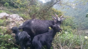 0520閲覧注意。あなたが成功できていない、具体的な理由に気付いた。２