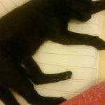 庶民こそ知るべき、苦労しない節約方法