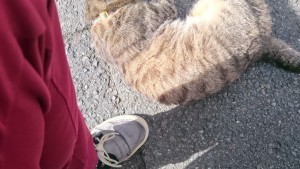 0614今年後半、すごい技術をリリースします (1)