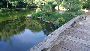 0730好景気の日本の中でも、一際輝く京都経済 (2)