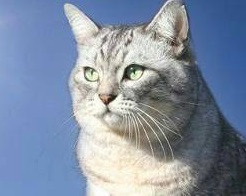 0817廃墟不動産投資βと、東京湾クルーズ増席 (1)