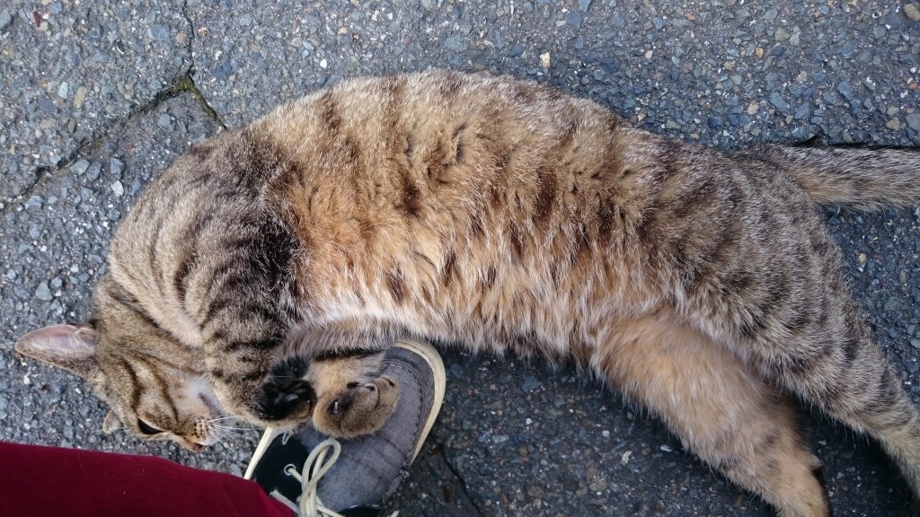 1005%e5%bb%83%e5%a2%9f%e4%b8%8d%e5%8b%95%e7%94%a3%e6%8a%95%e8%b3%87%e3%81%ae%ef%bc%93%e4%ba%ba%e3%81%ae%e3%82%b3%e3%83%b3%e3%82%b5%e3%83%ab%e3%82%bf%e3%83%b3%e3%83%88%e3%81%ae%e6%af%94%e8%bc%832