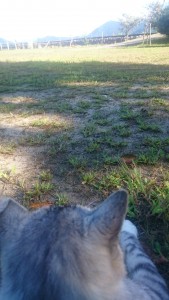 1012人口減少と空き家激増と不動産投資に関する論文 第３回（全５回） (2)