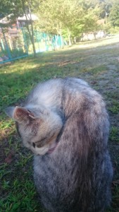 1012人口減少と空き家激増と不動産投資に関する論文 第３回（全５回） ２