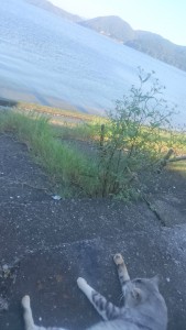 1012人口減少と空き家激増と不動産投資に関する論文 第３回（全５回） ３