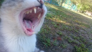 1101人口減少と空き家激増と不動産投資に関する論文 第５回（全５回） (1)