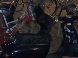 1115-%e3%83%93%e3%82%b8%e3%83%8d%e3%82%b9%e3%80%81%e6%8a%95%e8%b3%87%e3%80%81%e4%ba%ba%e7%94%9f%e5%85%a8%e3%81%a6%e3%81%ae%e6%a0%b9%e5%b9%b9%e3%82%92%e6%8f%ba%e3%82%8b%e3%81%8c%e3%81%97%e3%81%8b