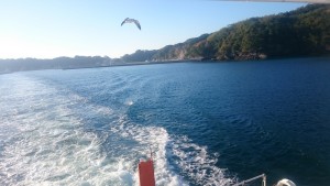 1119イベント出演情報 (1)