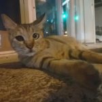 深刻な人手不足社会を見据えた、理想的な不動産ビジネスとは？