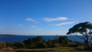 1130なぜ、あの人は不動産やビジネスでパッとしないのか？２