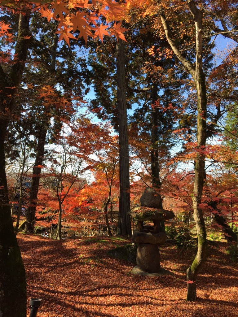 1201%e4%bb%8a%e9%80%b1%e3%82%82%e5%8d%83%e8%91%89%e3%83%86%e3%83%ac%e3%83%93%e3%81%ae%e7%95%aa%e7%b5%84%e3%81%ab%e5%87%ba%e6%bc%94%e3%81%97%e3%81%a6%e3%81%8d%e3%81%be%e3%81%97%e3%81%9f