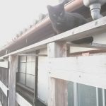 不動産投資で「安定して」利益を出し続ける方法