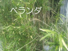 誰も手を付けられない廃墟物件を再生し続けて全国制覇へ動き出す、廃墟不動産投資家のブログ『9億円への道』