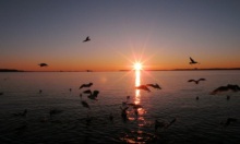 誰も手を付けられない廃墟物件を再生し続ける、廃墟不動産投資家のブログ『無借金で9億円への道』